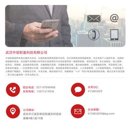 河南幼師資格證報考指南，兼談職業(yè)技能培訓(xùn)與計算機(jī)行業(yè)